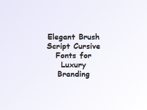 Elegant Brush Script Fonts for Luxury Branding
